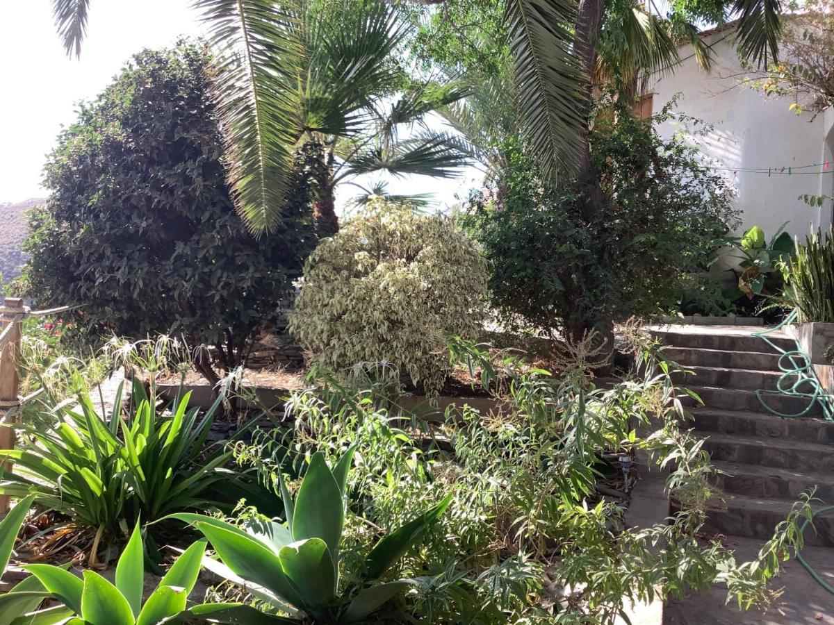 Cortijo De La Fuente Apartment Albunol Luaran gambar